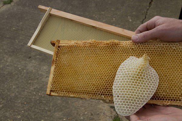 Wax frames for honey bee hives
