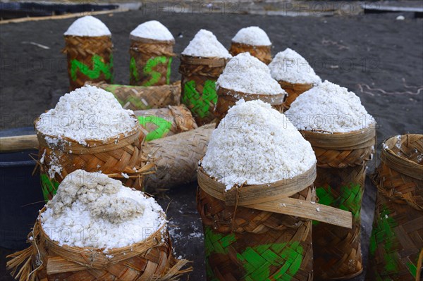 Sea salt harvested and packed for drying