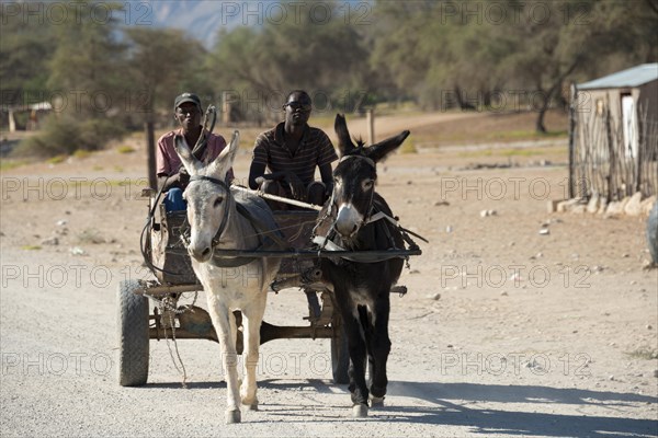 Donkey cart