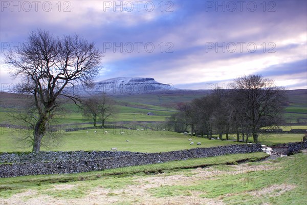 View of dry stone walls