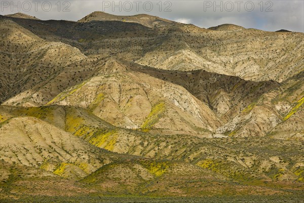 View of hillsides with flowering wildflowers