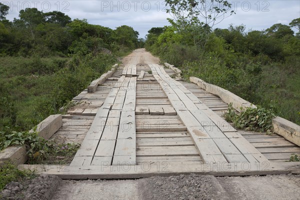 Wooden bridge along the road