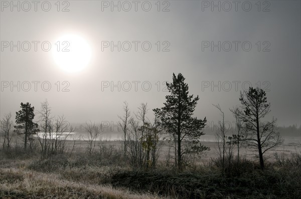 Sun burning through mist