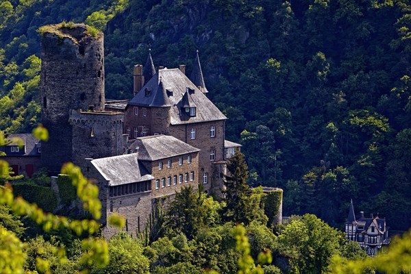 View of Katz Castle