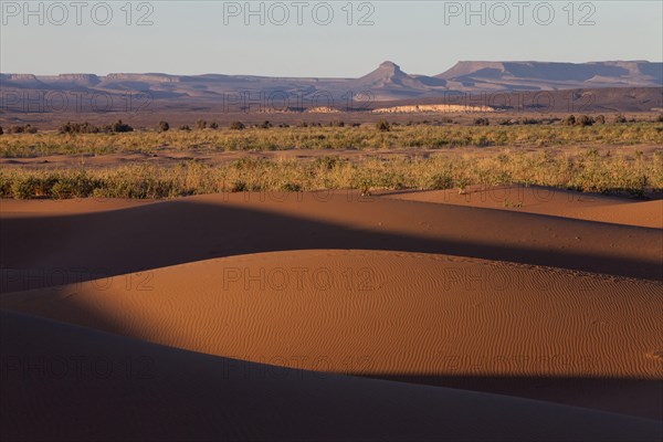 View of desert sand dunes in the evening sun