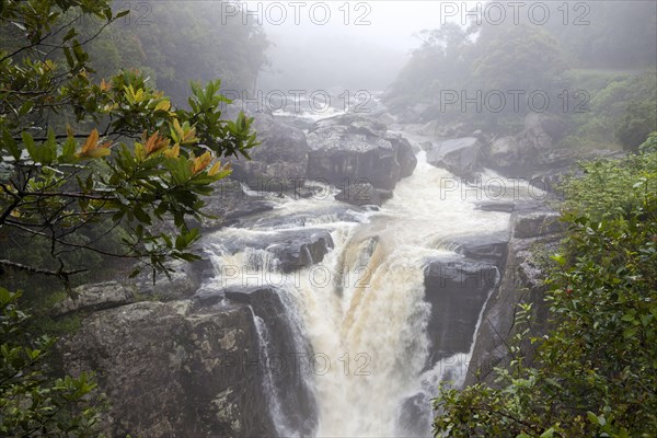 View of a waterfall in the rainforest