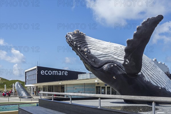 Sculpture of a humpback whale