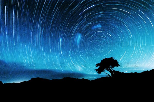 Star trails