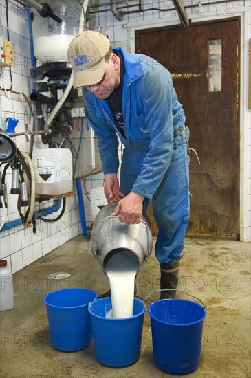 Dairy farmer pouring milk into bucket