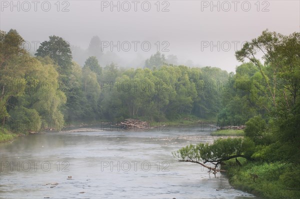View of river and forest at sunrise