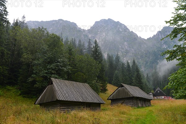 Wooden barns