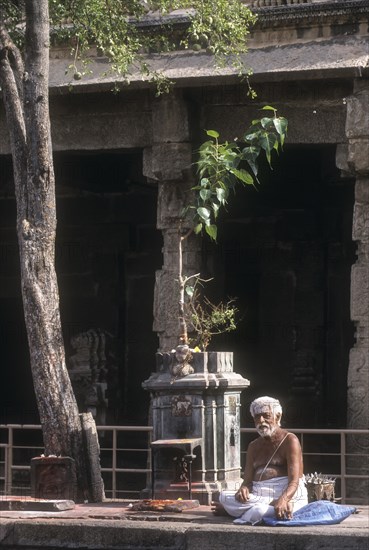 A Priest sitting under the sacred tulsi