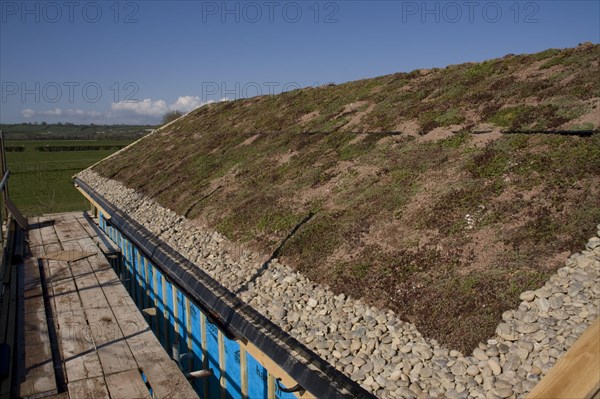 The sedum roof consists of a waterproof membrane covered with soil stonecrop