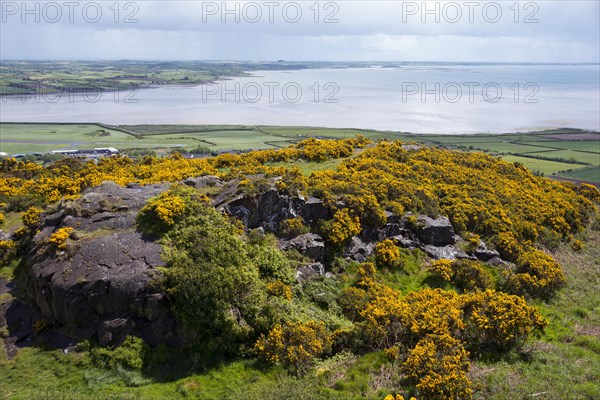 View of Lake Strangford from Scrabo Tower