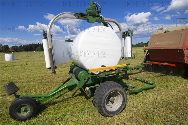 Plastic wrapped silage round bales