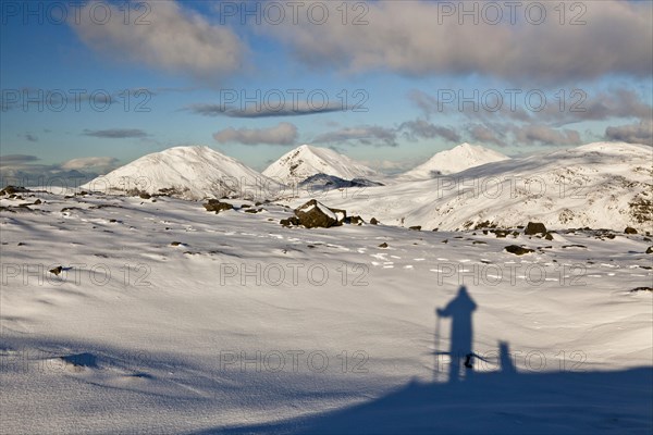 Shadows of man and dog looking at snow-capped mountain peaks