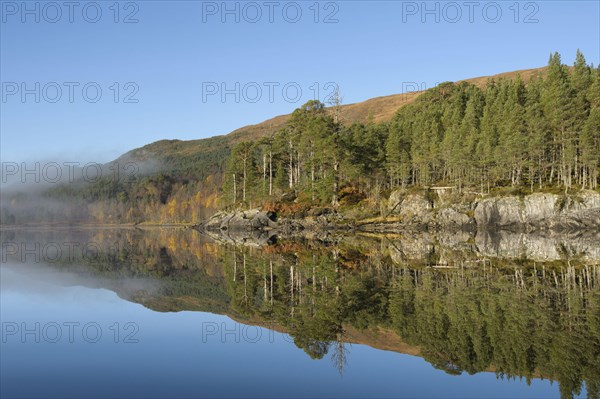 View of freshwater loch with Scots Pine pine forest at dawn in mist
