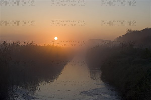 Dyke at the edge of the reedbed at dawn
