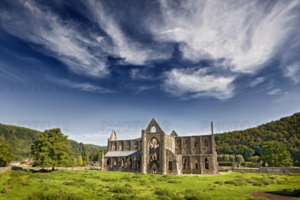 View of the ruins of the Cistercian Abbey