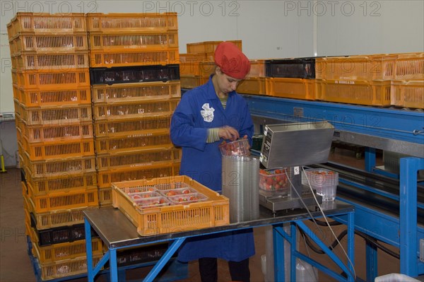 Quality control during the inspection of strawberry hulls