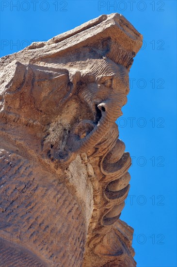 Column fragment with elephant head