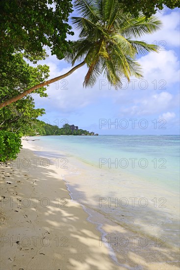 Dream beach Anse La Reunion