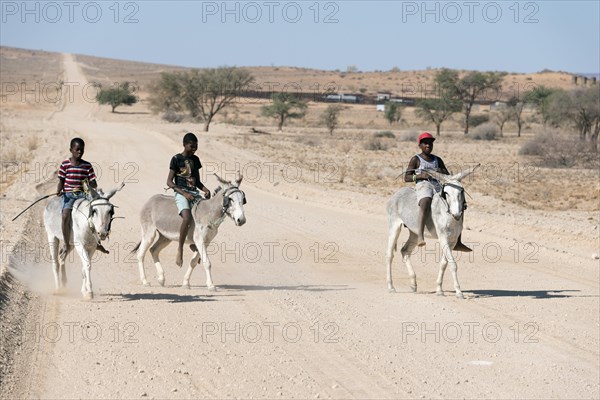 Boys on donkeys