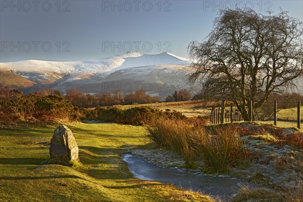 Standing stone on Highland common in the evening