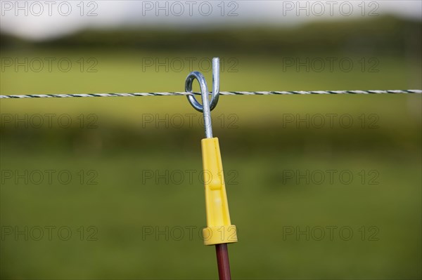 Electric fence set up along farm track to keep dairy cattle on