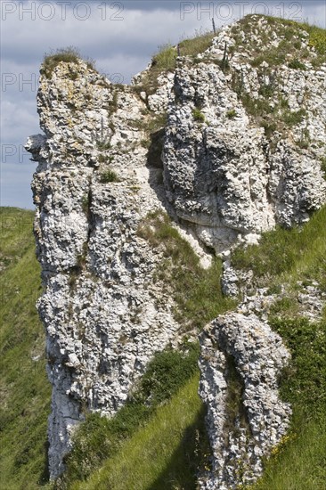 Chalk outcrops