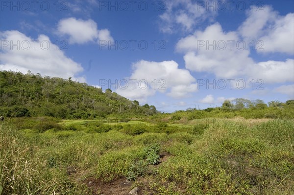 Highland Turtle Reserve on Santa Cruz Island