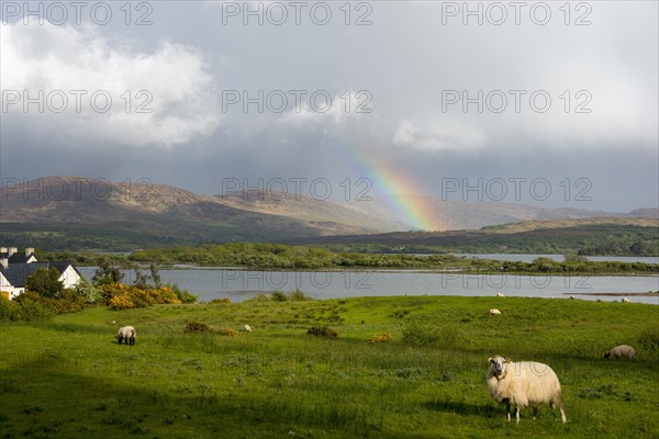 Rainbow at Blackwater