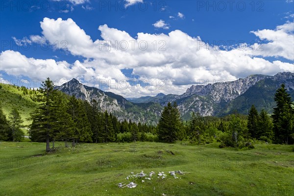 Postalm in the Salzkammergut