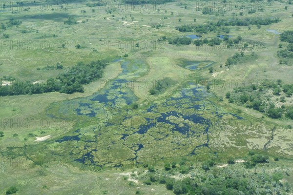 Wetlands