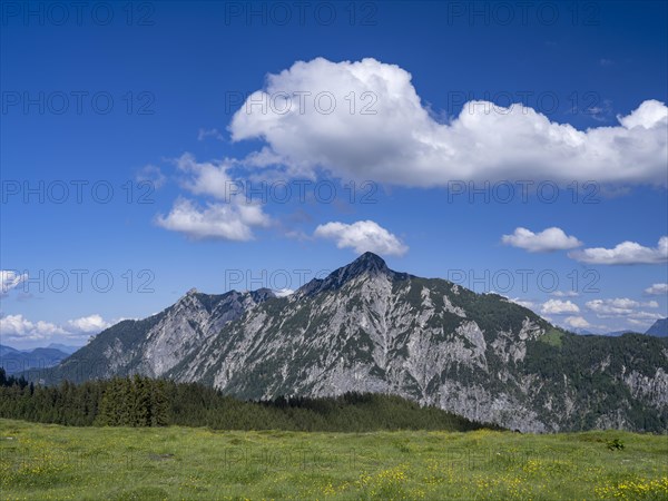 Postalm in the Salzkammergut