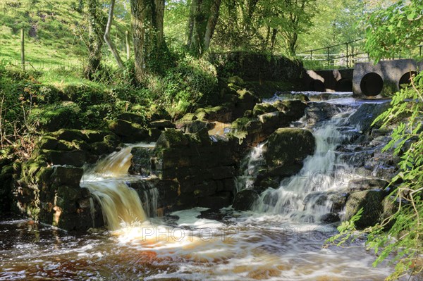 River Cascades and Salmon Ladder