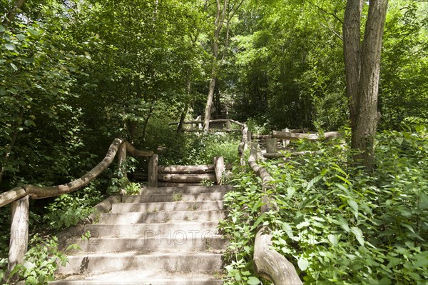 Stairs to Drachenberg