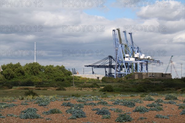 Dock cranes and vegetated shingle habitat