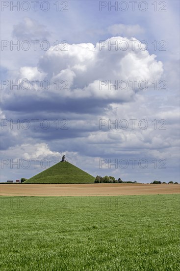 The Lion's Mound