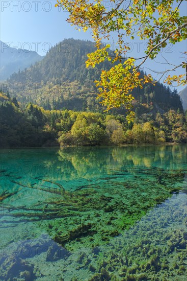 Colourful Lake