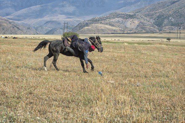 Traditional Kokpar or Buzkashi in the outskirts of Gabagly National Park