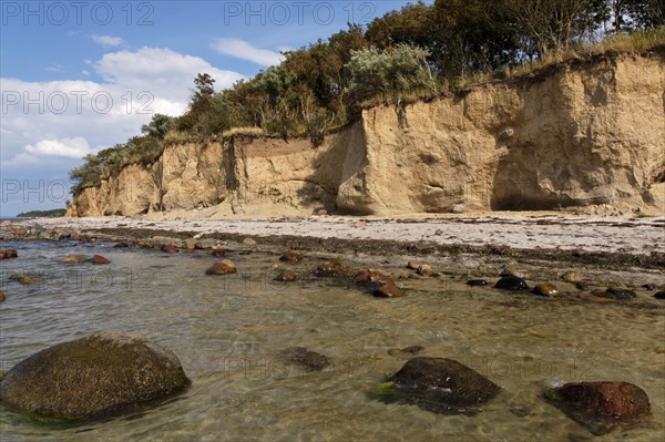 Natural beach on the Baltic Sea