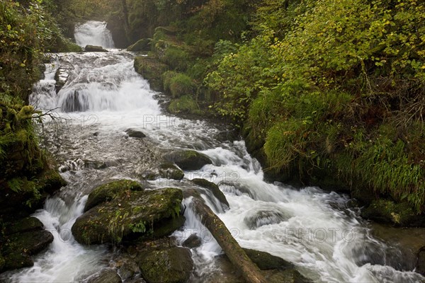 Waterfall