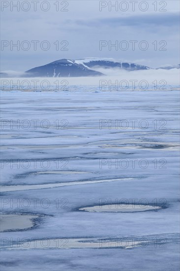 View of coastal ice floes