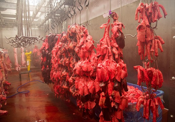 Pig offal hanging in abattoir