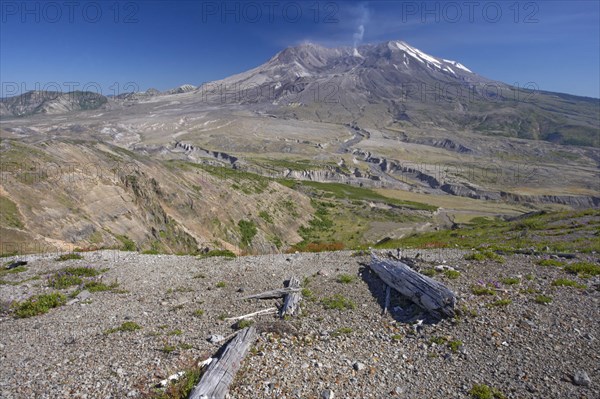 View of regenerating vegetation and volcano in the distance