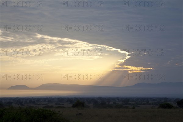 View of sunbeams over savannah landscape at sunrise