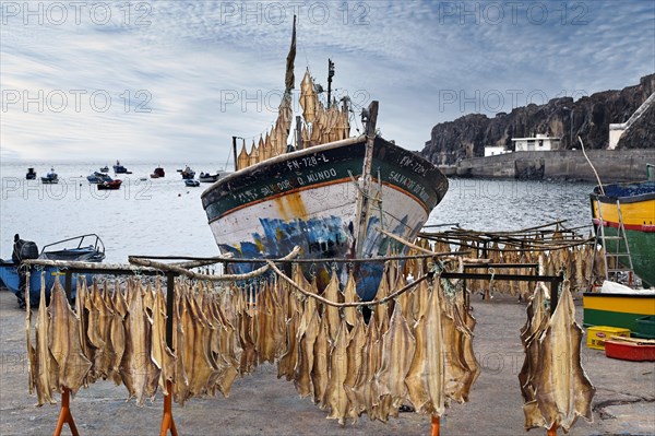 Stockfish suspended on rack