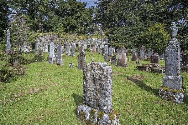 Weathered gravestones in Lochcarron Old Cemetery