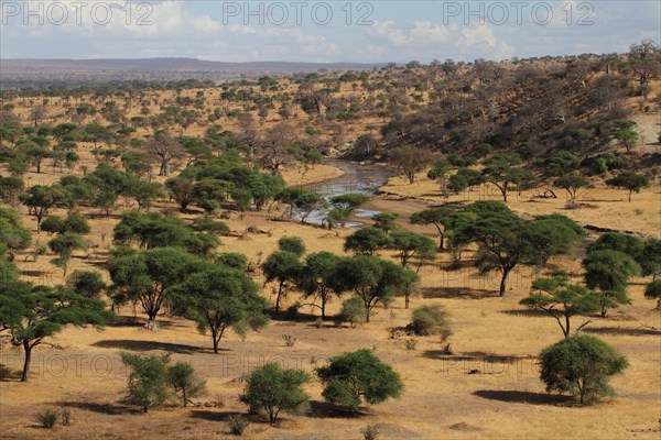 Tarangire River